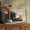 20" X 16" Bear Photography Framed Art Brown - Threshold™ -Decor Haven Shop GUEST 3517e61a d5f0 4c54 bc45 14e5e4e062d4
