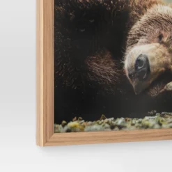 20" X 16" Bear Photography Framed Art Brown - Threshold™ -Decor Haven Shop GUEST 8d29808a 8d0a 4121 a8c8 64d15cc45658