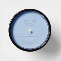 Colored Vase Glass With Dustcover Marine Moss Candle Blue - Threshold™ -Decor Haven Shop GUEST e5035607 20cd 4e66 bc9b 502503c48b69